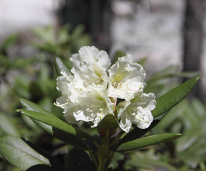 Similar image 1320809