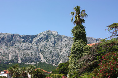 Similar image 1320817