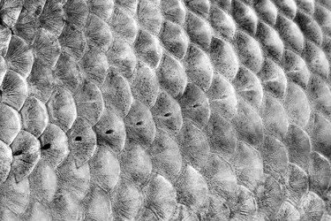 Similar image 1320828