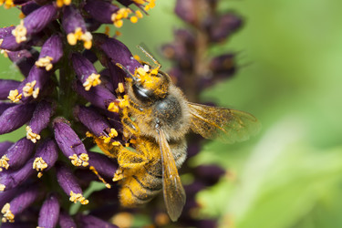 Similar image 1320839