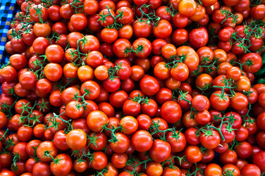 Similar image 1320923