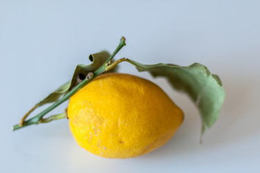 Similar image 1321852