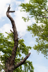 Similar image 1321895