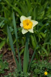 Similar image 1321896