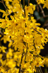 Similar image 1321897