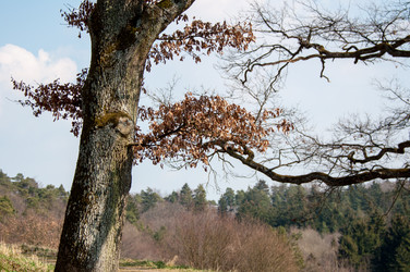 Similar image 1321902