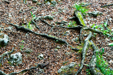 Similar image 1321906