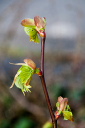 Similar image 1321907