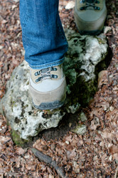 Similar image 1321915