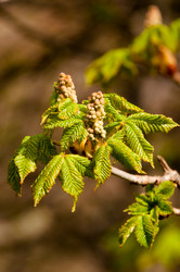 Similar image 1321920