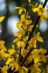 Similar image 1321923