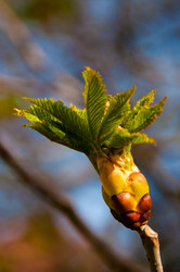 Similar image 1321929