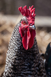 Similar image 1321947