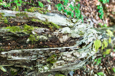 Similar image 1321948