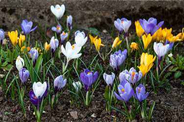 Similar image 1321949