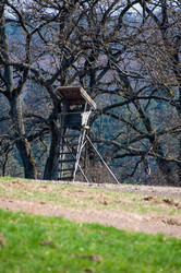 Similar image 1321963