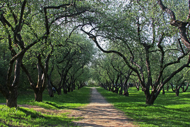 Similar image 1321975