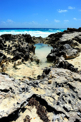 Similar image 1321987