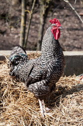 Similar image 1322030