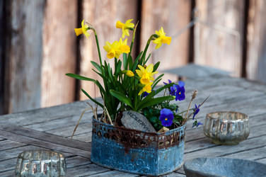 Similar image 1322032