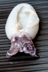 Similar image 1322040