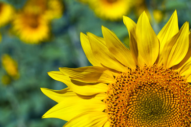 Similar image 1322086