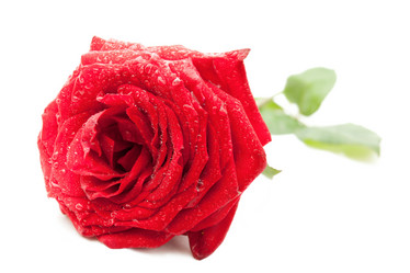 Similar image 1322139