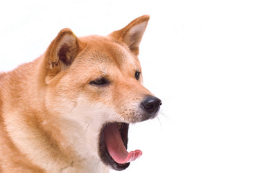 Similar image 1322145