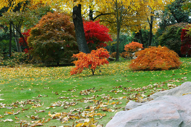 Similar image 1322169