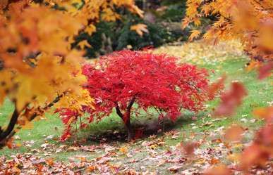 Similar image 1322170