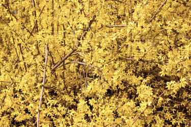 Similar image 1322173