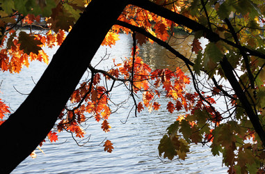 Similar image 1322187