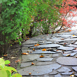 Similar image 1322201