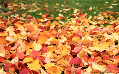 Similar image 1322202