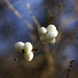 Similar image 1322210