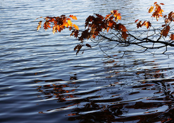 Similar image 1322216