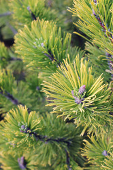 Similar image 1322221