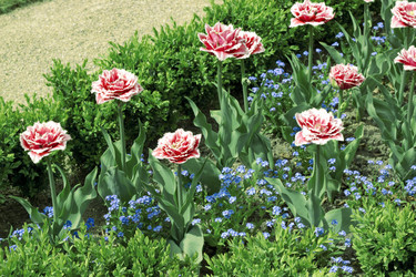 Similar image 1322234