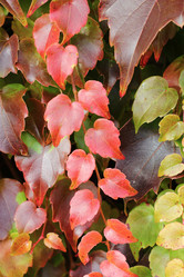 Similar image 1322241