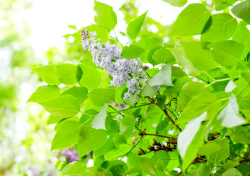 Similar image 1322248