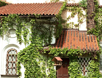 Similar image 1322251