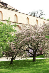 Similar image 1322252