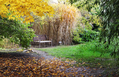 Similar image 1322263