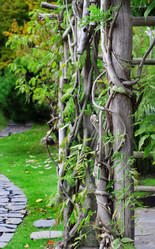 Similar image 1322264