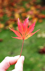 Similar image 1322277