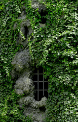 Similar image 1322291