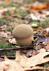 Similar image 1322297