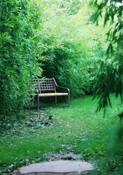 Similar image 1322305