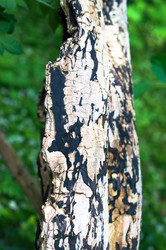 Similar image 1322308