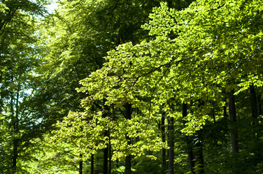 Similar image 1322309